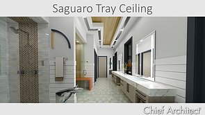 Saguaro Tray Ceiling