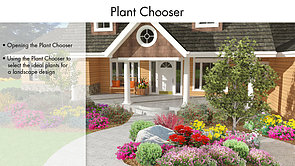 Plant Chooser