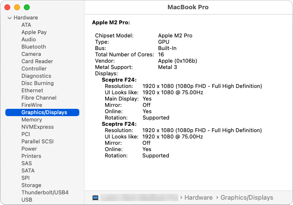 Graphics/Display section within the System Report