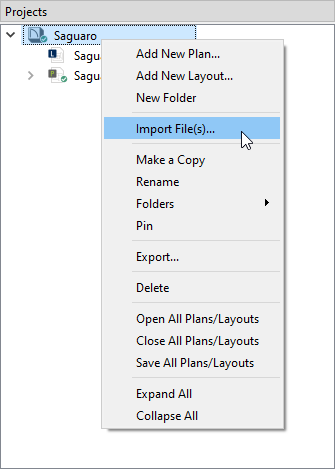 Right-click on a project in the Project Browser, then click Import Files from the contextual menu